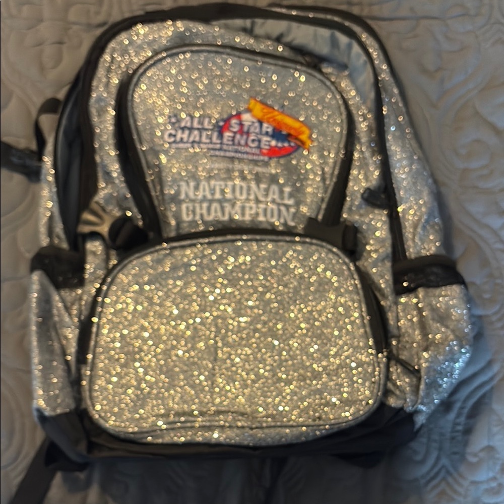 Silver Backpack with Shimmering Design and Black Straps